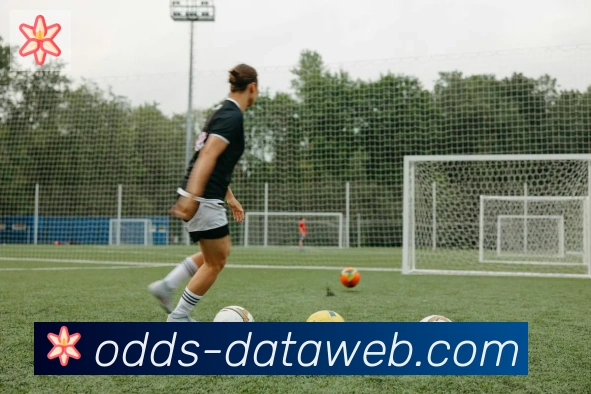 在线买球发展历程