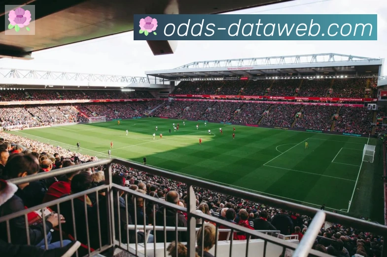 在线买球APP 高清赛事图